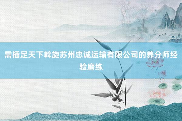 需插足天下斡旋苏州忠诚运输有限公司的养分师经验磨练
