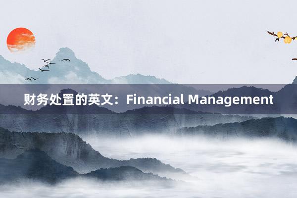 财务处置的英文：Financial Management