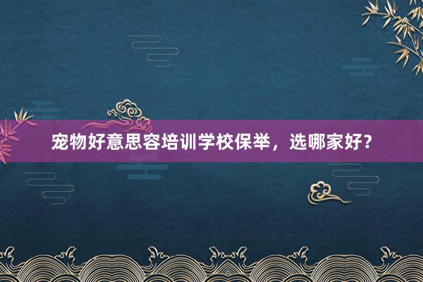 宠物好意思容培训学校保举，选哪家好？